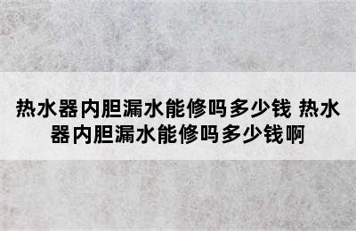 热水器内胆漏水能修吗多少钱 热水器内胆漏水能修吗多少钱啊